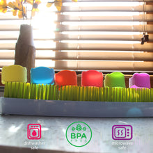 Green Stretchy Bear Reusable Baby Bottle Labels | 6 Pieces and Dry Erase Marker